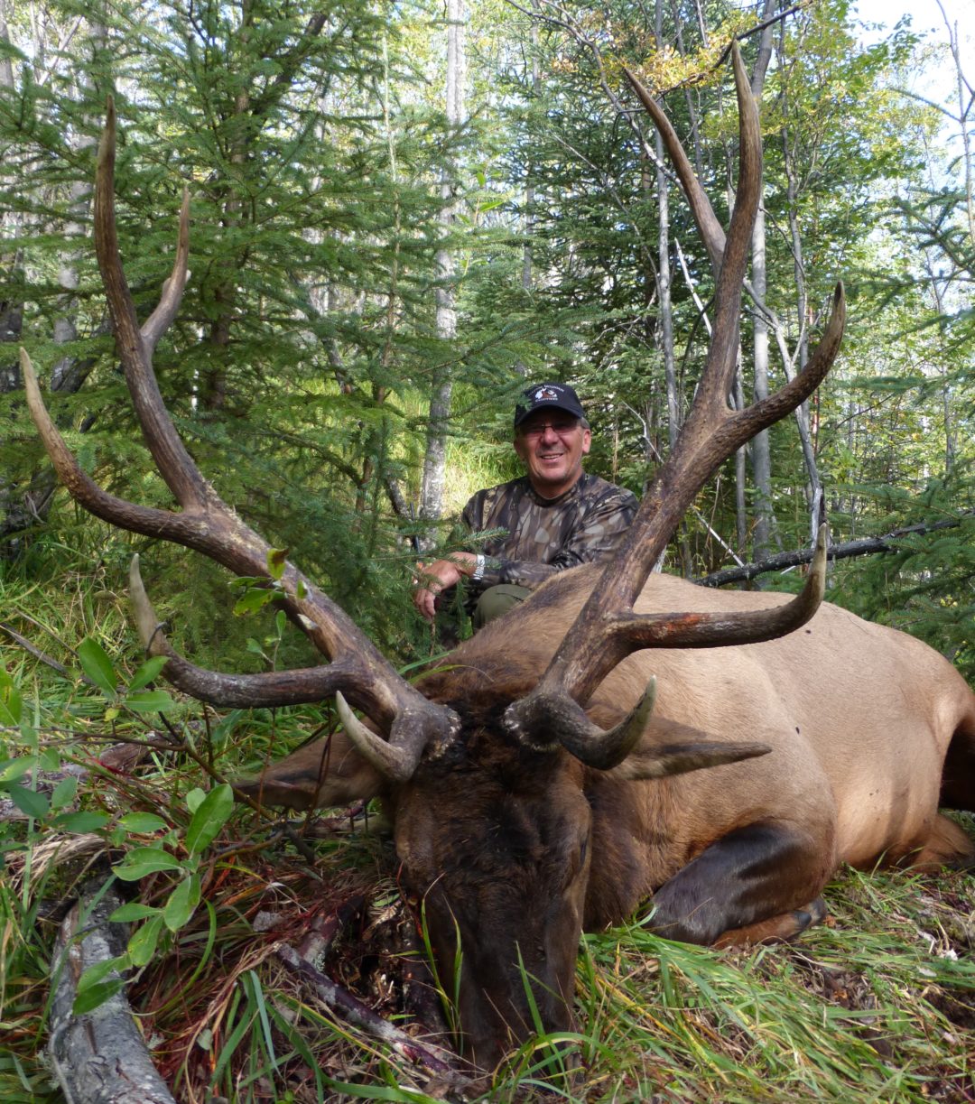 Mountain Caribou & Elk | Folding Mountain Outfitters